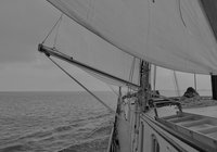Foto van Thomas Kring